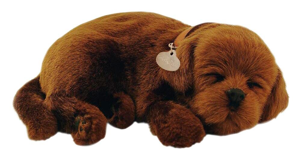 Perfect Petzzz Chocolate Lab 2122070